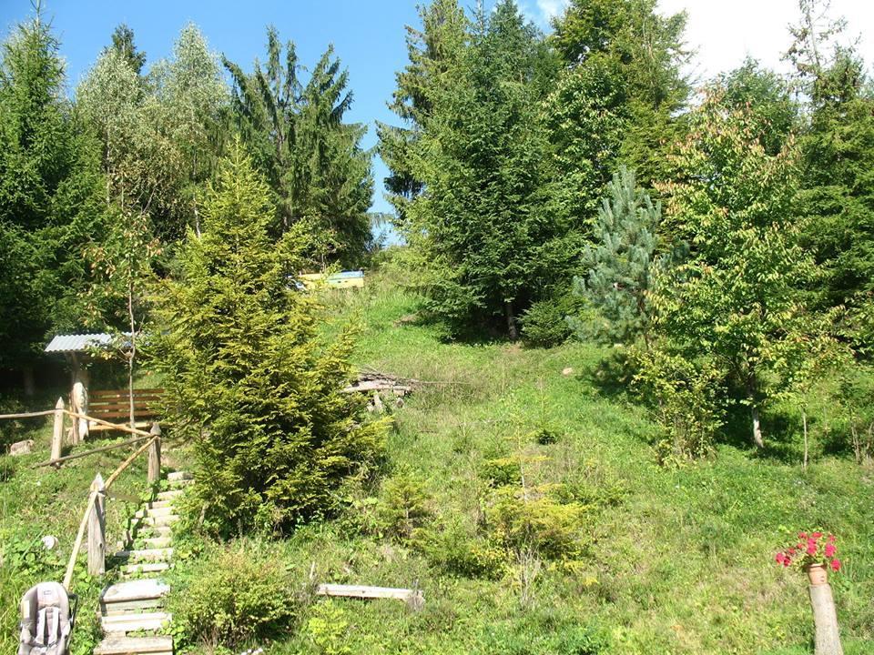 Біла Хижа Verkhne-Studenyy Buitenkant foto